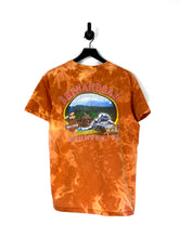 Load image into Gallery viewer, Harley Davidson T Shirt - L
